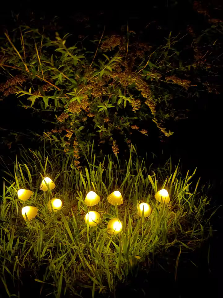 Stargazer Nature Effects Solar Mushroom Lights